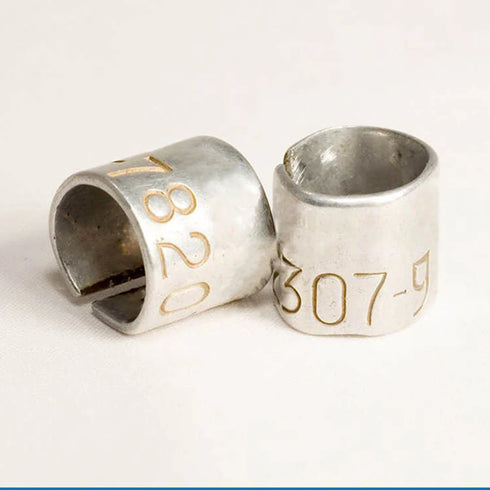 custom bird bands - Affordable, Quick & Trusted by 1000+ Customers