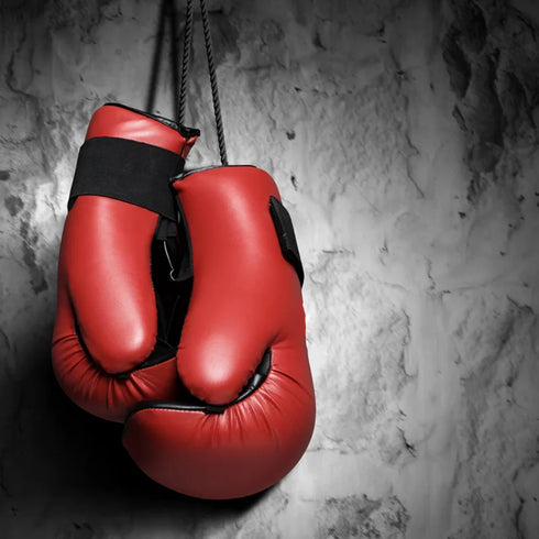 custom boxing gloves - Affordable, Quick & Trusted by 1000+ Customers