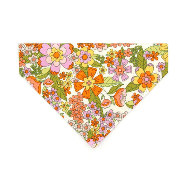 custom cat bandanas - Affordable, Quick & Trusted by 1000+ Customers