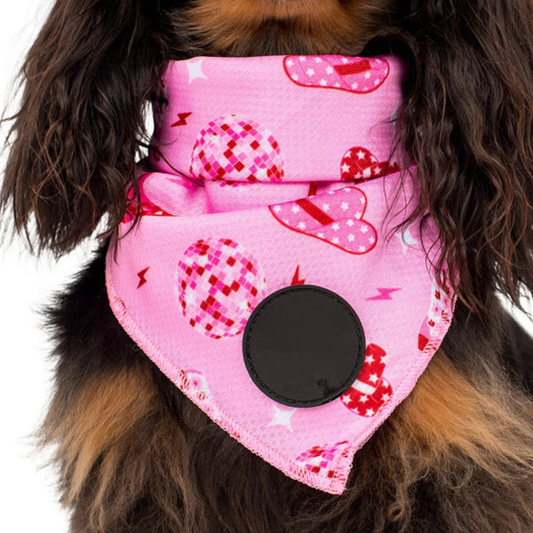 custom dog bandanas - Affordable, Quick & Trusted by 1000+ Customers