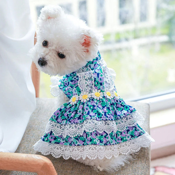 custom dog dresses - Affordable, Quick & Trusted by 1000+ Customers