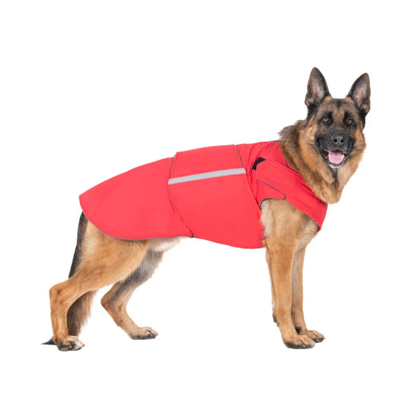 custom dog jackets - Affordable, Quick & Trusted by 1000+ Customers