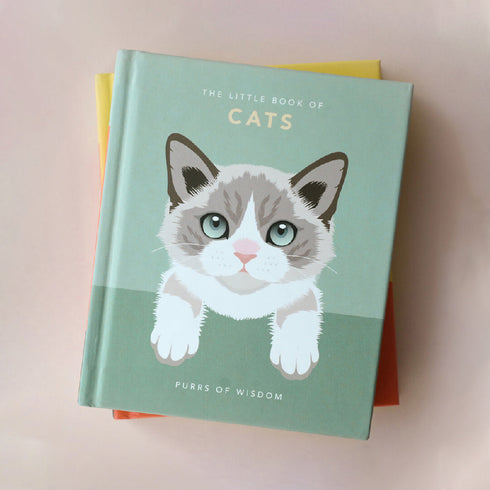 personalized cat book - Affordable, Quick & Trusted by 1000+ Customers