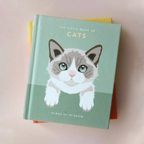 personalized cat book - Affordable, Quick & Trusted by 1000+ Customers