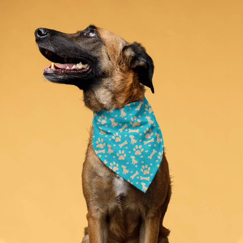 personalized dog scarves - Affordable, Quick & Trusted by 1000+ Customers