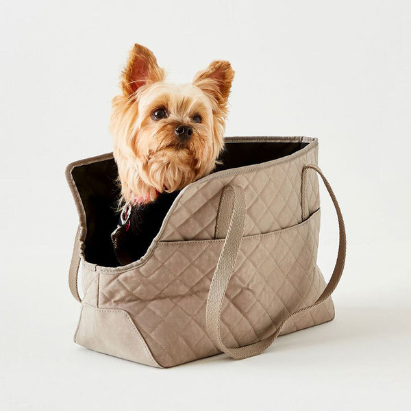 personalized dog tote bags - Affordable, Quick & Trusted by 1000+ Customers