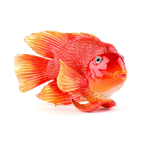 personalized goldfish boxes - Affordable, Quick & Trusted by 1000+ Customers